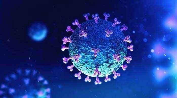 Indian variant of the coronavirus detected in France